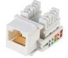 Εγχώριων δικτύων Cat6 RJ45 βάσεων γρύλων IDC μορφωματικός γρύλος YH7011 καρφιτσών CE 8P8C χρυσός